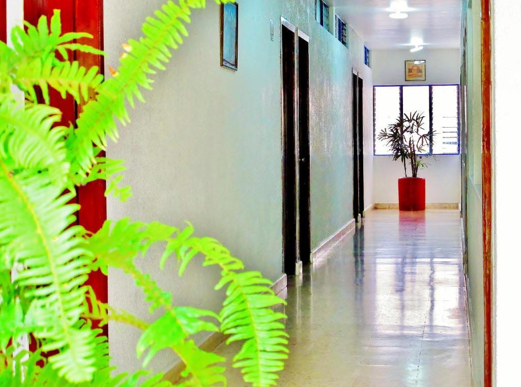 Hotel Acuario Catemaco Eksteriør billede